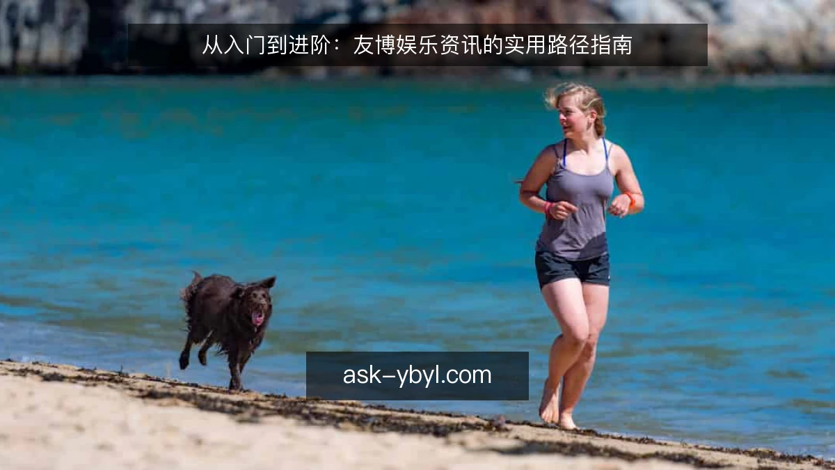 从入门到进阶：友博娱乐资讯的实用路径指南