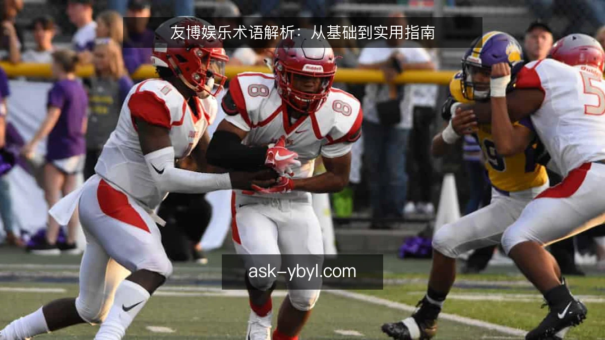 友博娱乐术语解析：从基础到实用指南