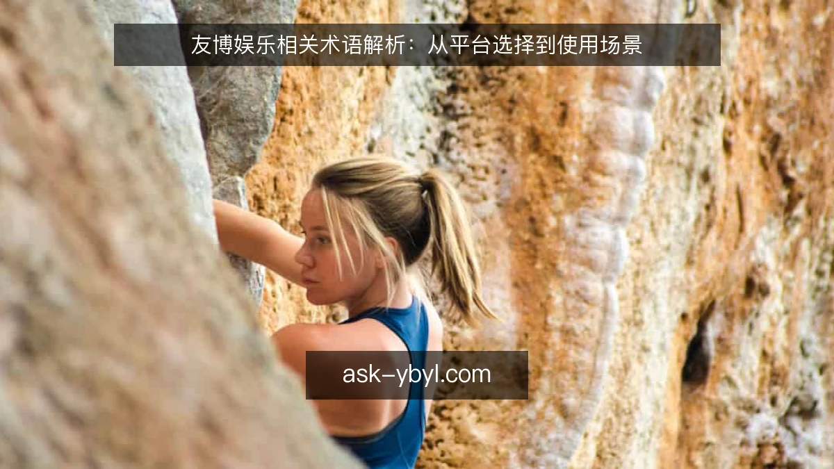 友博娱乐相关术语解析：从平台选择到使用场景