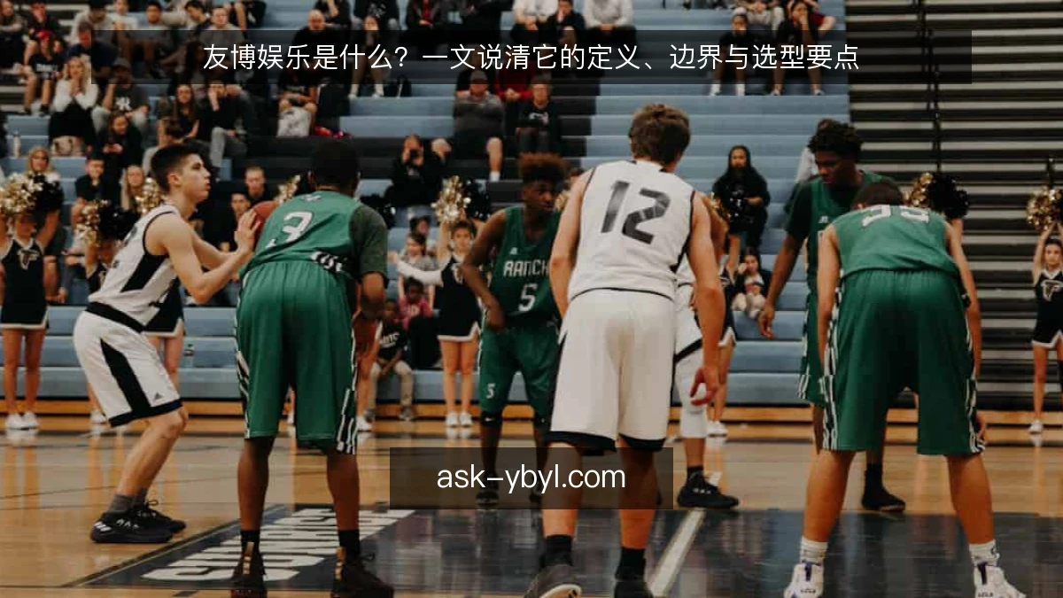 友博娱乐是什么？一文说清它的定义、边界与选型要点
