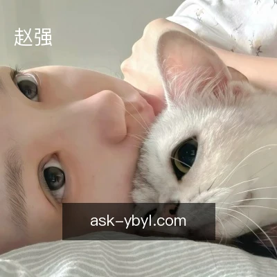 赵强