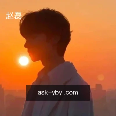 赵磊